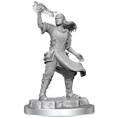 Dungeons & Dragons Nolzur`s Marvelous Unpainted Miniatures: W20 Aasimar Cleric Female